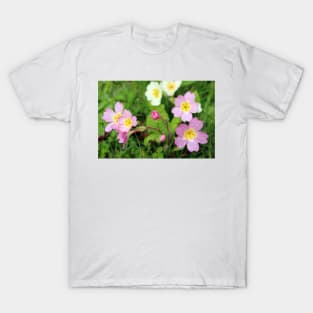 Pink and Yellow Primroses T-Shirt